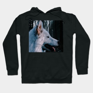 Wolf Resting in Forest Hoodie